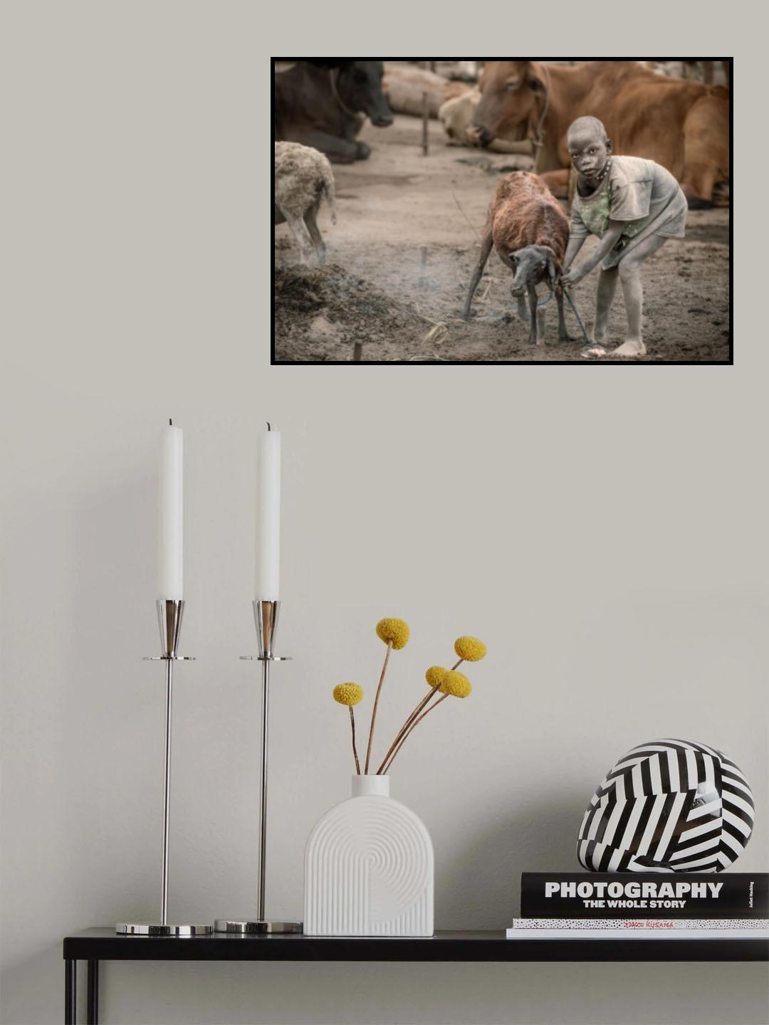 Mundari child herder Poster och Canvastavla