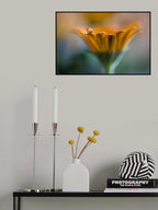 Only you Poster och Canvastavla