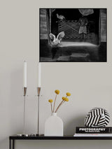Pets Poster och Canvastavla