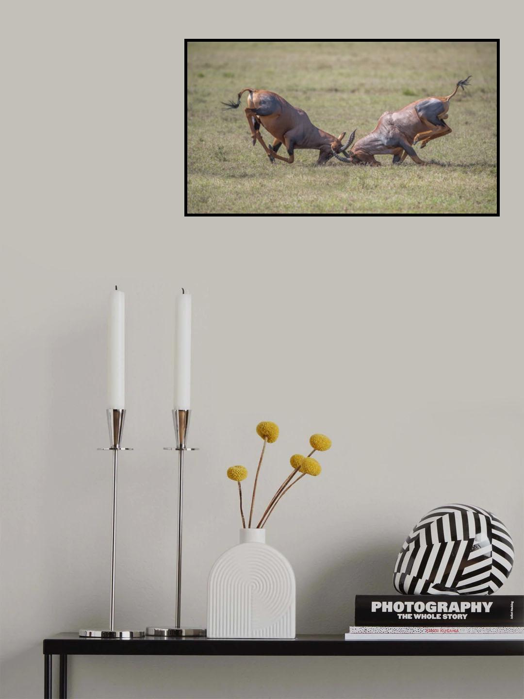 Duel Poster och Canvastavla