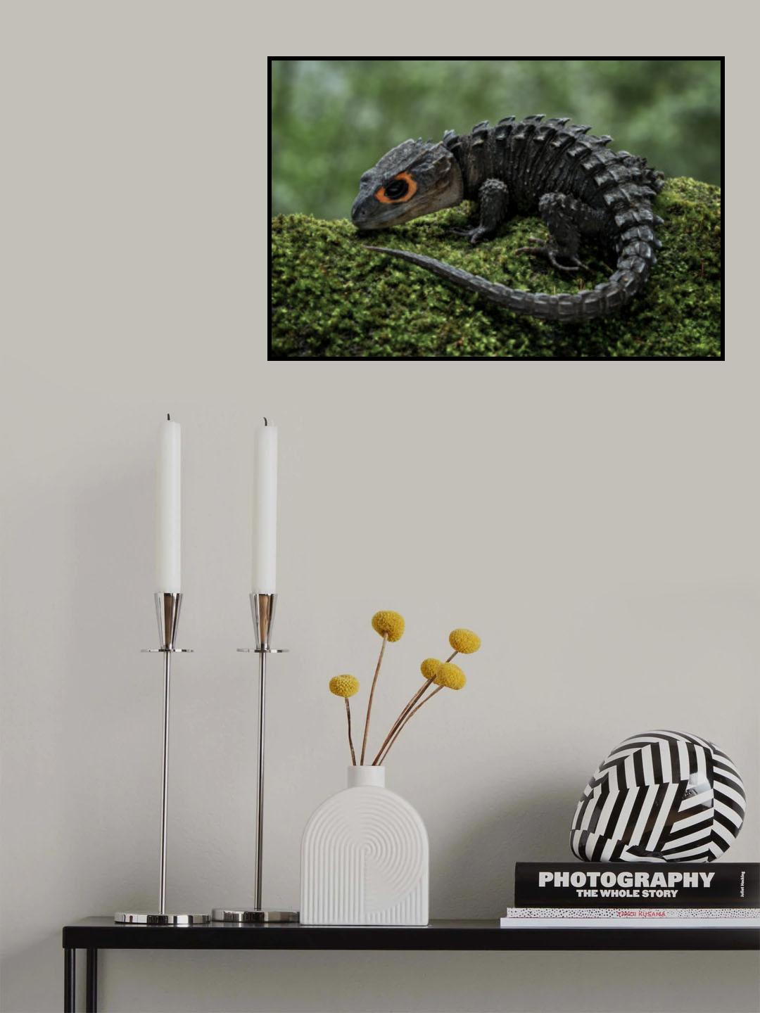 Baby dragon Poster och Canvastavla