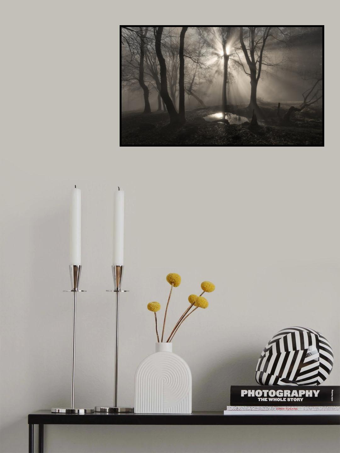 The Spirit Poster och Canvastavla
