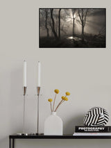 The Spirit Poster och Canvastavla