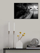 Dreaming bat Poster och Canvastavla