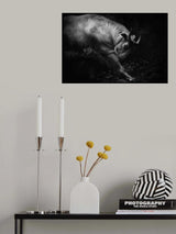 Stretch legs Poster och Canvastavla