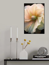Floral Stock 1 Poster och Canvastavla
