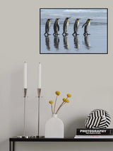 five online Poster och Canvastavla