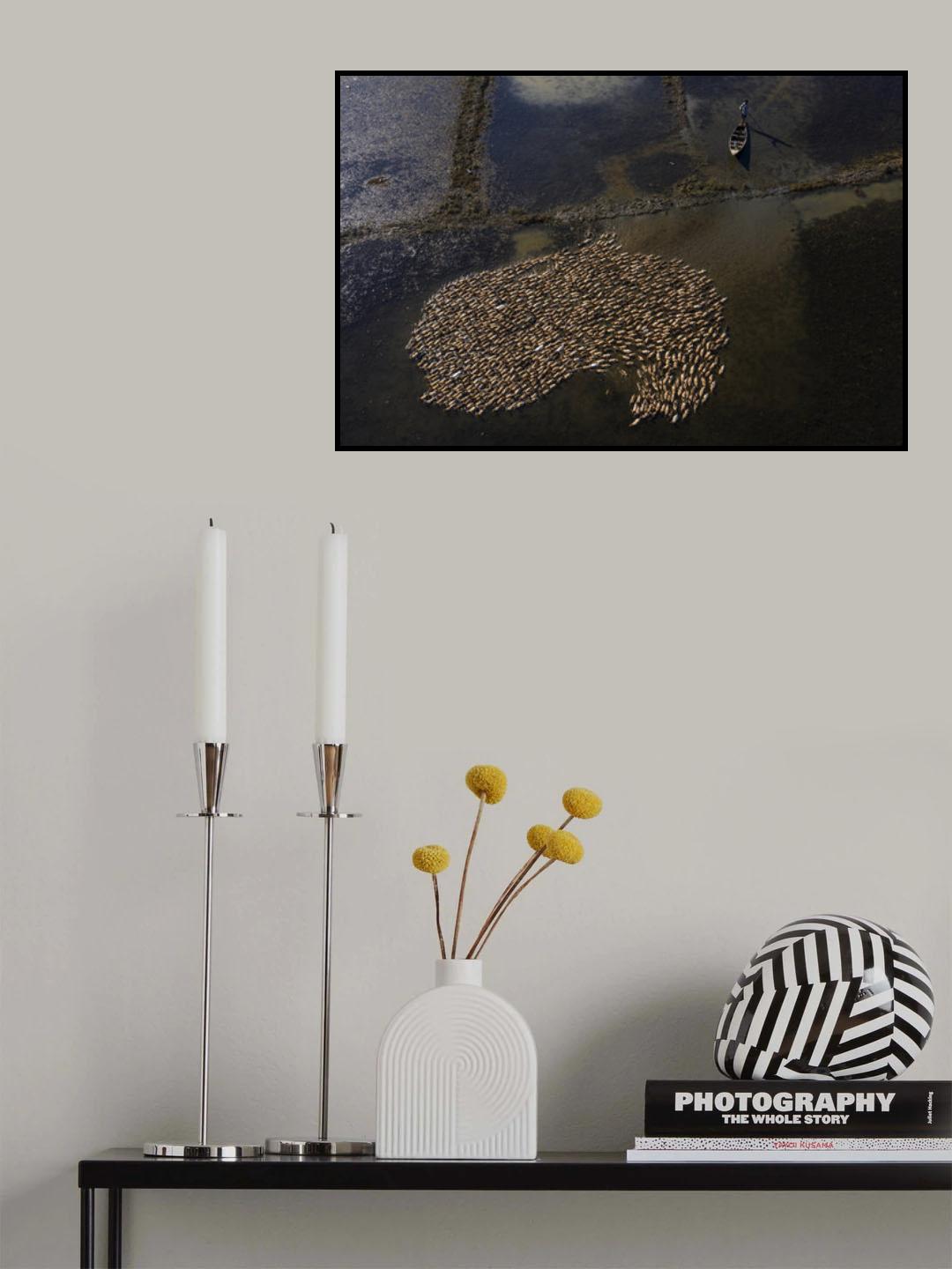 Ducks land Poster och Canvastavla