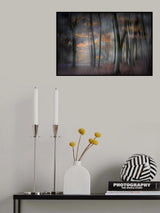 Enchanted forest Poster och Canvastavla