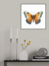 Butterfly 19 Poster och Canvastavla