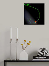 Lady Bug and Curve Poster och Canvastavla