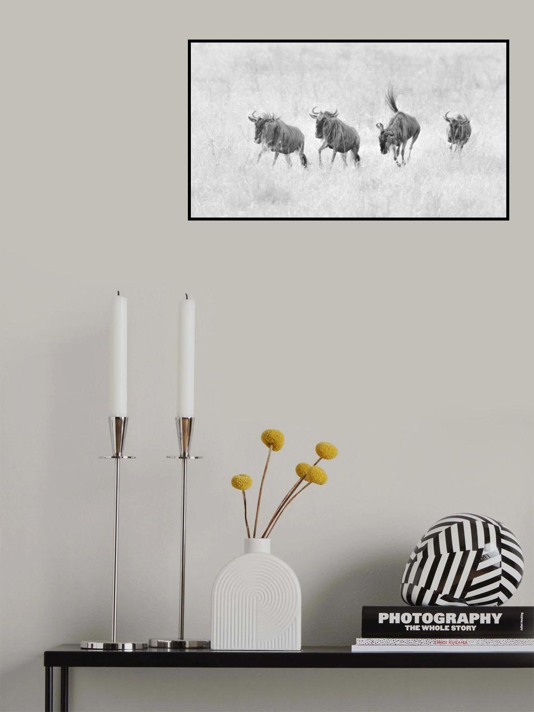 Rush Poster och Canvastavla