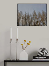 image of a forest after a fire Poster och Canvastavla