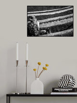 Flowers and stripes Poster och Canvastavla