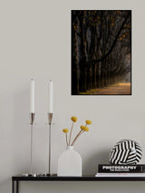 Poster och Canvastavla