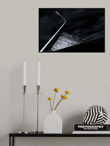 Stubborn Poster och Canvastavla
