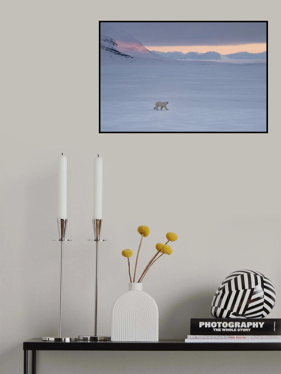 Early morning Poster och Canvastavla