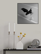 Black Swan Poster och Canvastavla