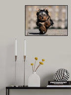 Speedy Poster och Canvastavla