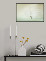 Drops Poster och Canvastavla