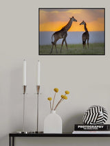 Peace Poster och Canvastavla