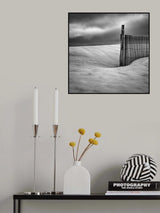 Fence Poster och Canvastavla