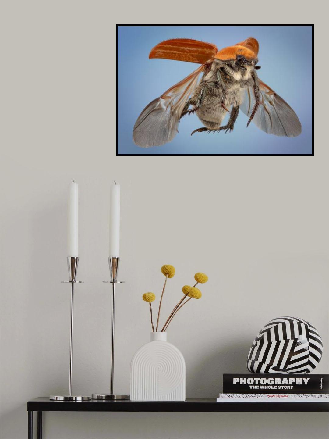 beetle Poster och Canvastavla