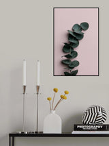 Eucalyptus Pink No 01 Poster och Canvastavla