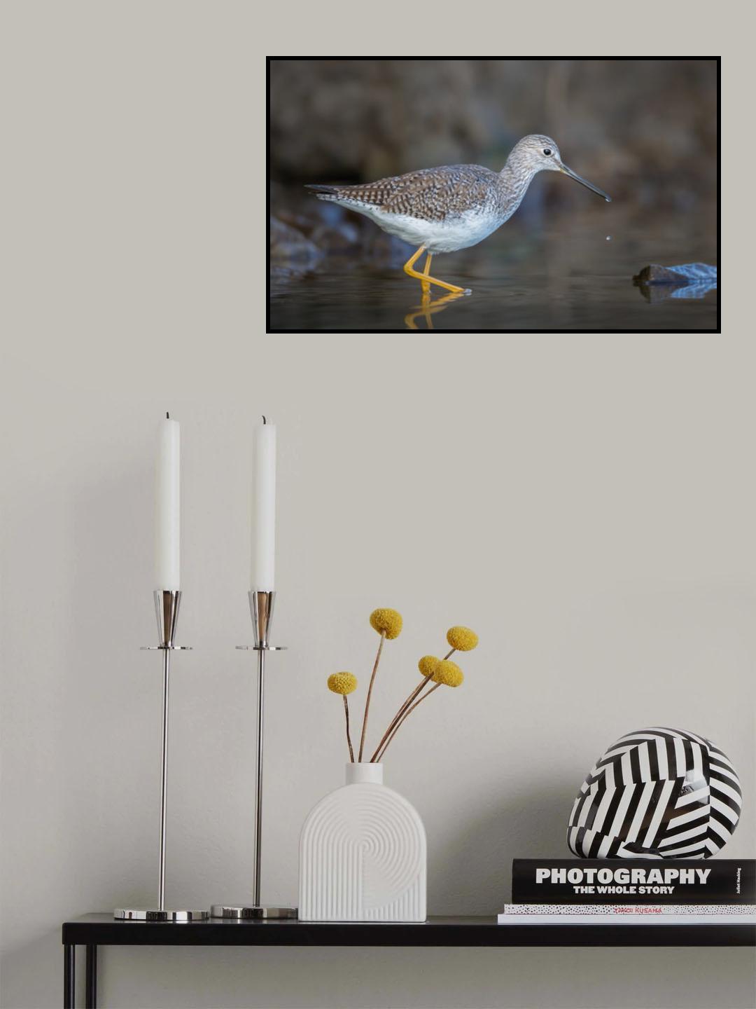 Shoreline yellowlegs Poster och Canvastavla