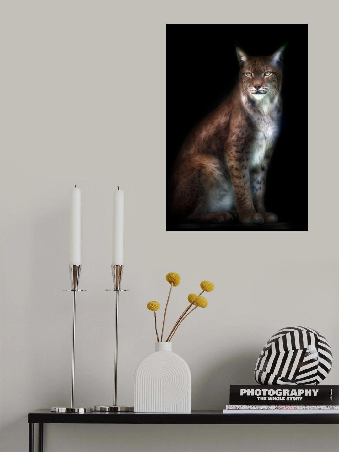 Lynx portrait Poster och Canvastavla
