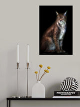 Lynx portrait Poster och Canvastavla