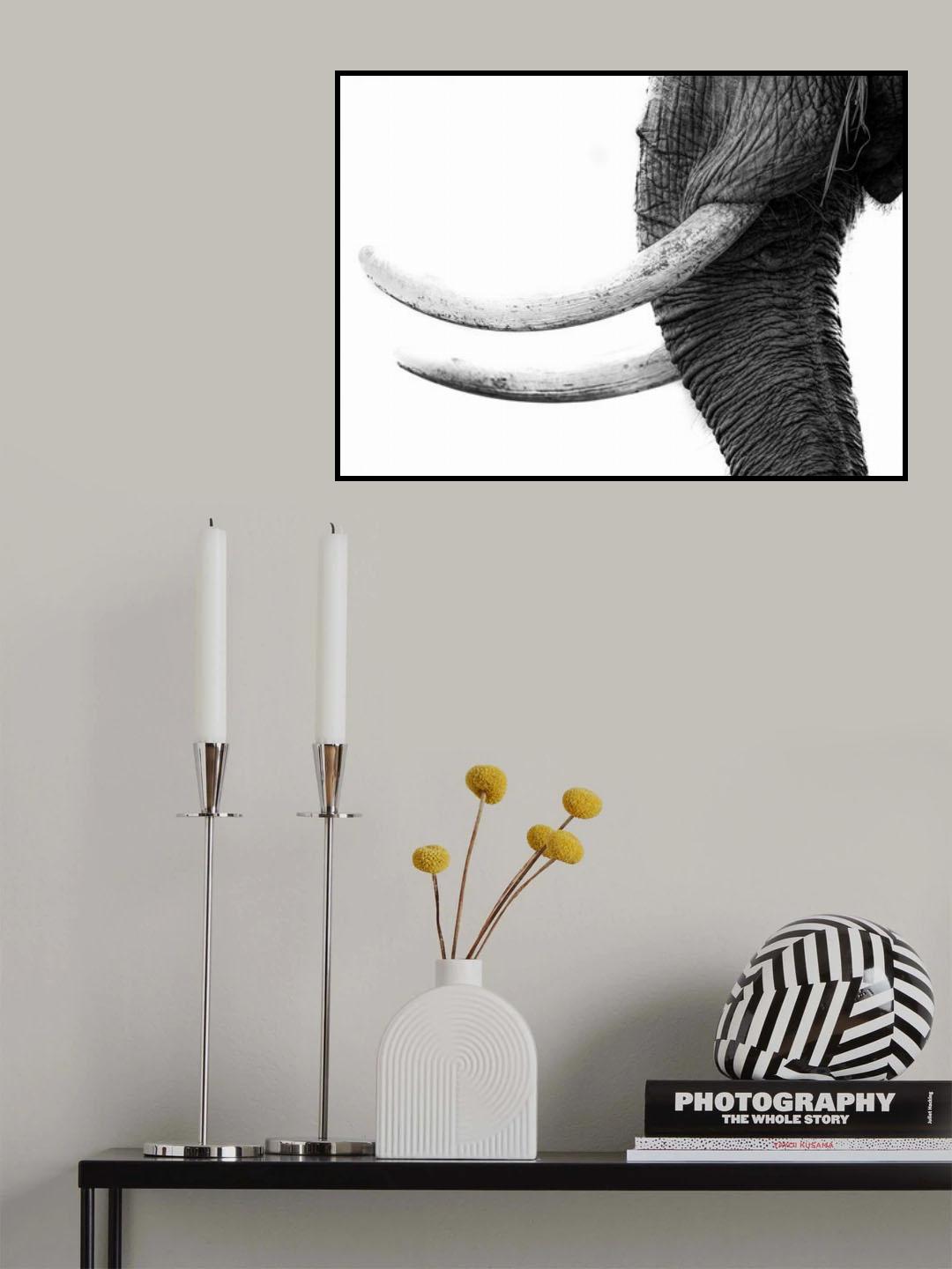 WHITE GOLD Poster och Canvastavla