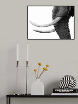 WHITE GOLD Poster och Canvastavla