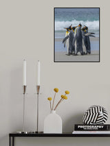 Penguins‘ Group Dancing Poster och Canvastavla