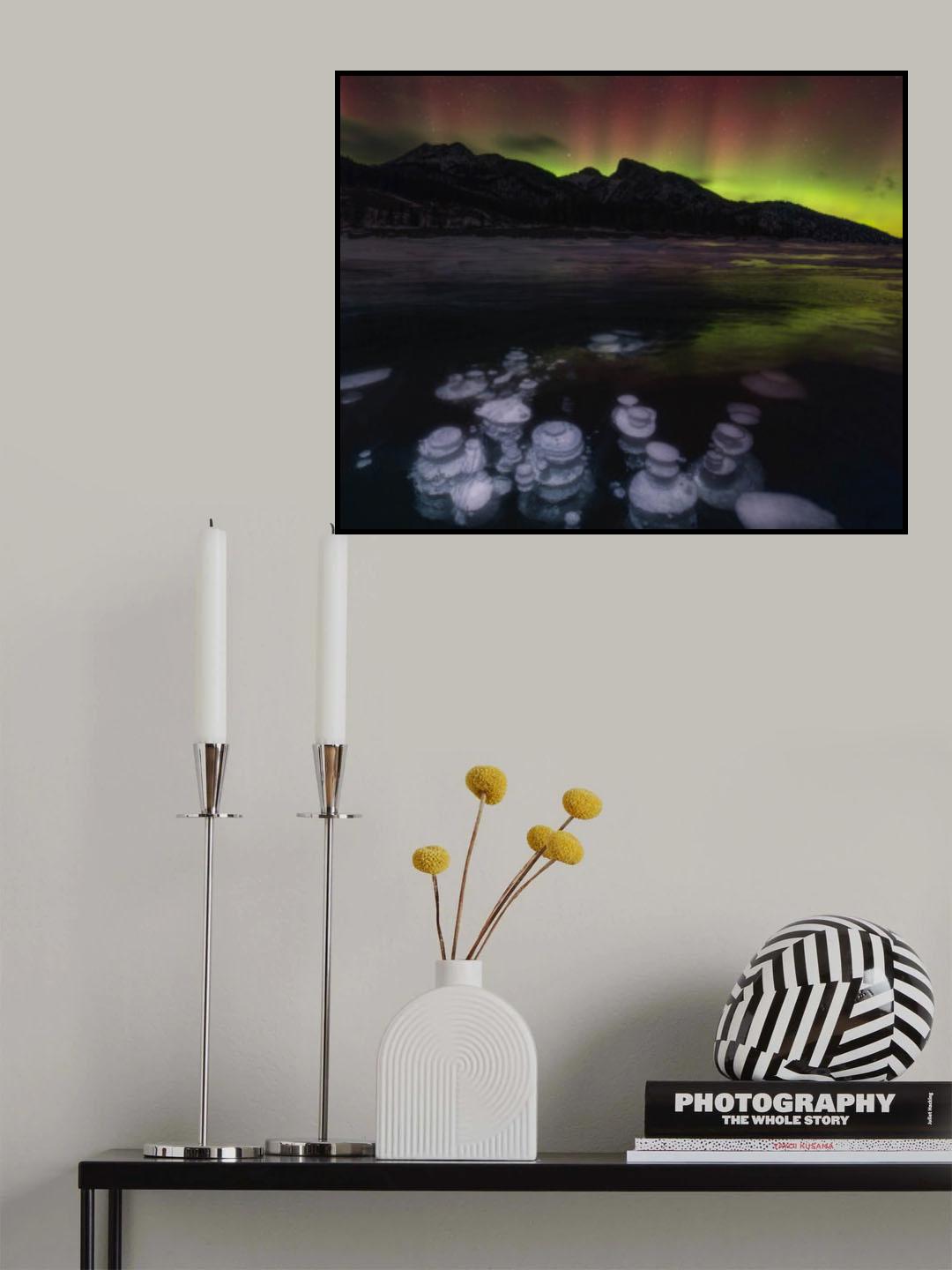 Aurora over Abraham Lake Poster och Canvastavla