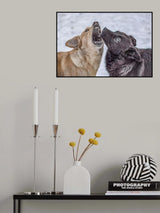 Sisters Poster och Canvastavla