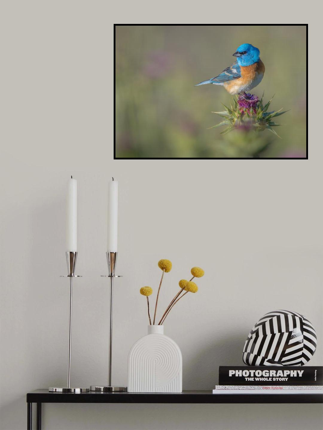 Blowin' in the wind Poster och Canvastavla