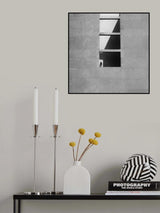 In the shadows Poster och Canvastavla