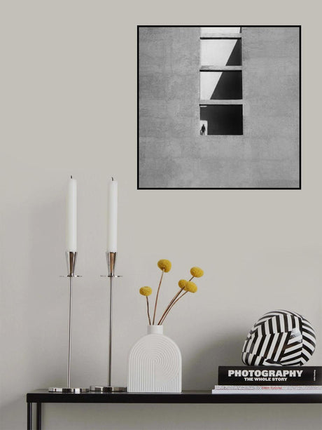 In the shadows Poster och Canvastavla