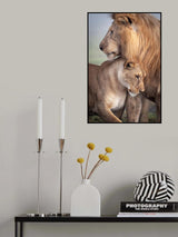 Wild Love Poster och Canvastavla
