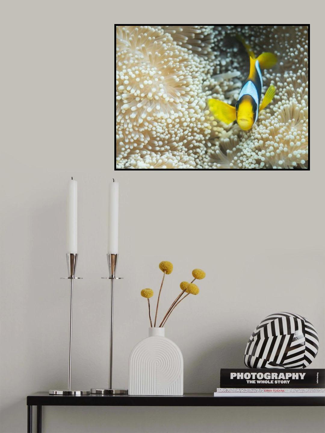 This way Poster och Canvastavla