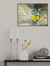 This way Poster och Canvastavla