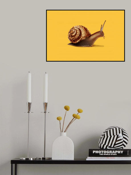 Fast like Cheetah Poster och Canvastavla