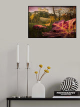The colors tribute of the leaves Poster och Canvastavla