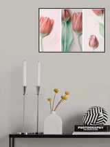 Red Elegance Poster och Canvastavla