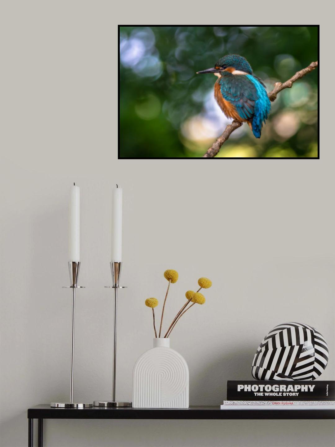 Poster och Canvastavla