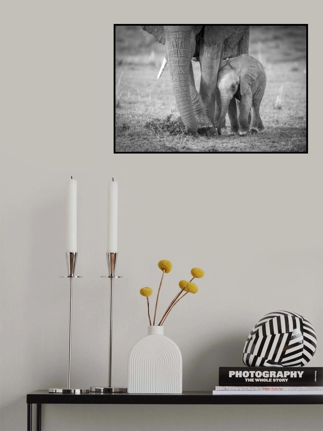Baby 1 Poster och Canvastavla