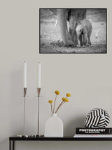Baby 1 Poster och Canvastavla