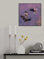 Chasing for Fish Poster och Canvastavla