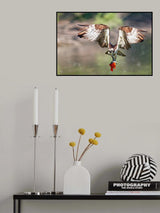 Face to face Poster och Canvastavla